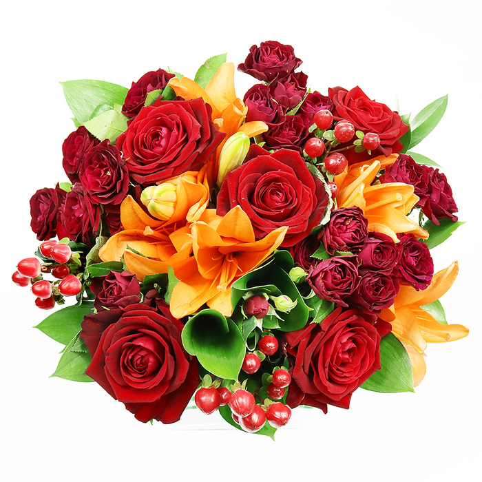 Captured from above on an immaculate white backdrop, this opulent hand-tied bouquet feels like a statement piece assembled with intention. A small constellation of large, deep red roses forms the focal drama - their velvety petals unfurl into layered cups that suggest both classic romance and tactile richness. Interspersed among them are brilliant orange Asiatic lilies, some flung open to reveal their flared trumpets and freckled interiors, others in earlier, elegant stages of opening, so the arrangement reads as a moment in time rather than a static picture. Tight clusters of dark burgundy spray roses add dense, jewel-toned texture beneath the larger blooms, enhancing the depth and giving the eye places to rest. Sprays of glossy red hypericum berries shine like tiny ornaments, reflecting soft studio light and adding playful contrast to the softer petal surfaces. The green architecture - broad, glossy leaves suggesting ruscus or salal - peeks and fans around the flowers, lifting and framing the warm palette with a fresh, living backdrop. The photography's even lighting accentuates the satin sheen of petals and berries, creating a rich tactile sense you can almost touch and a scent-memory of rose sweetness with a trace of lily spice. As a local florist, I imagine delivering this to a home near Blackheath Village or leaving it at a table at a celebration in Greenwich; Flowers Blackheath would recommend it for anniversaries, heartfelt congratulations, or when you want to give something unabashedly luxurious yet warmly familiar.